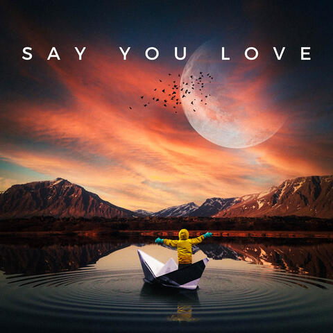 Say You Love