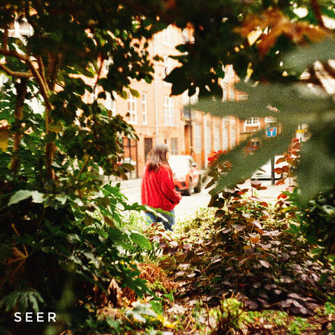 Seer