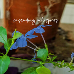 Gentle Piano For Day