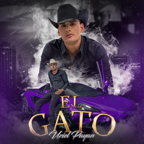 El Gato