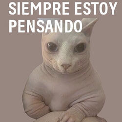 Siempre Estoy Pensando