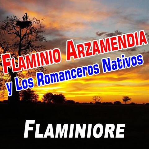 Flaminiore