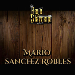 Mario Sánchez Robles