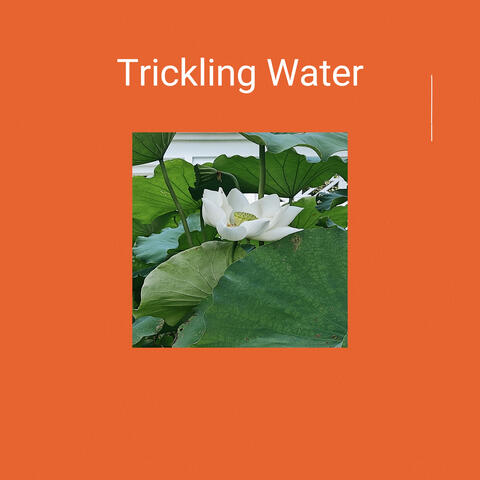 Trickling Water