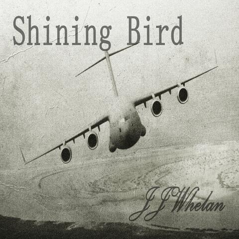 Shining Bird