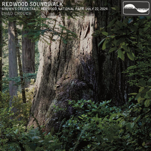 Redwood Soundwalk