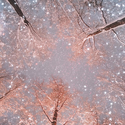 Winter Wonderland