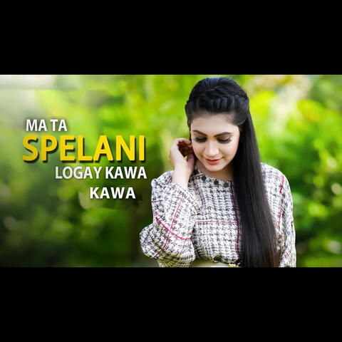 Ma Ta Spelani Logay Kawa