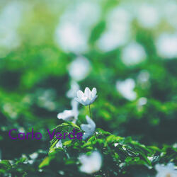 Peace