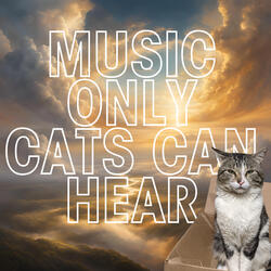There are different tones only cats will hear