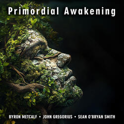 Primordial Awakening