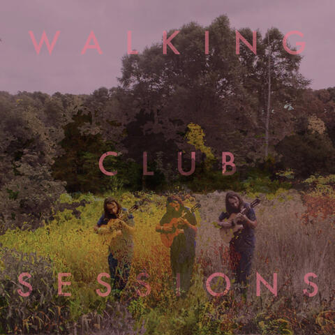 Walking Club Sessions