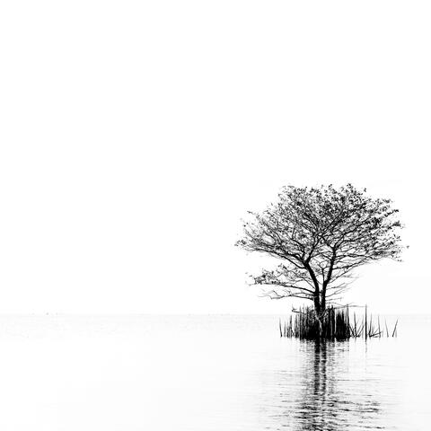Ambient Music Healing