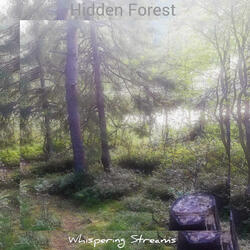 Hidden Forest
