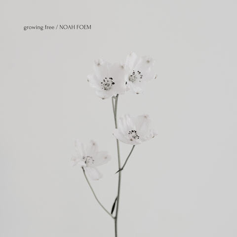 Growing Free