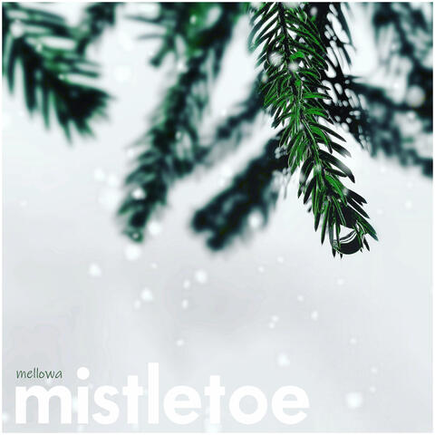 mistletoe