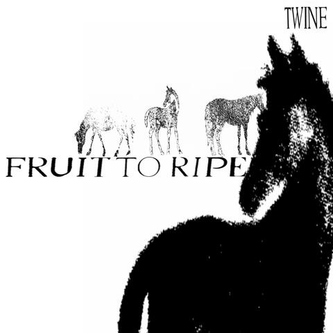 Fruit To Ripe