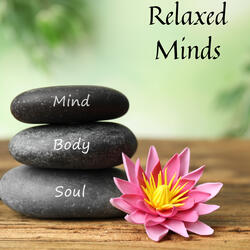 Harmonies of Stillness