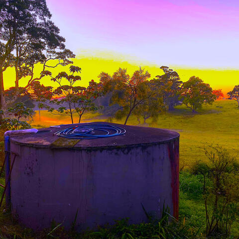 The Argus Demos: Electric