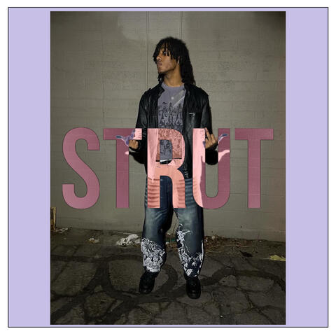 Strut