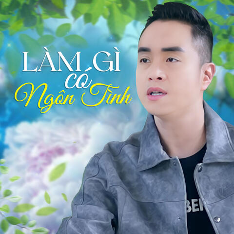 Làm Gì Có Ngôn Tình