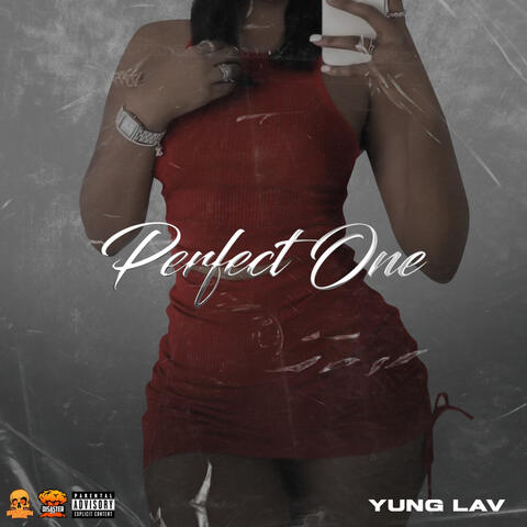 Perfect One