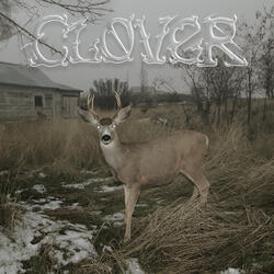 Over