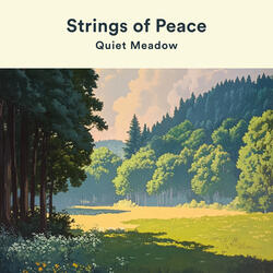 Quiet Meadow