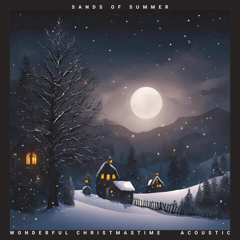 Wonderful Christmastime