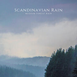 Medium Forest Rain