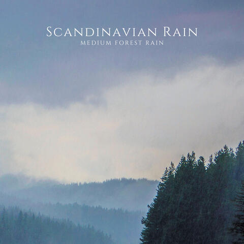 Medium Forest Rain