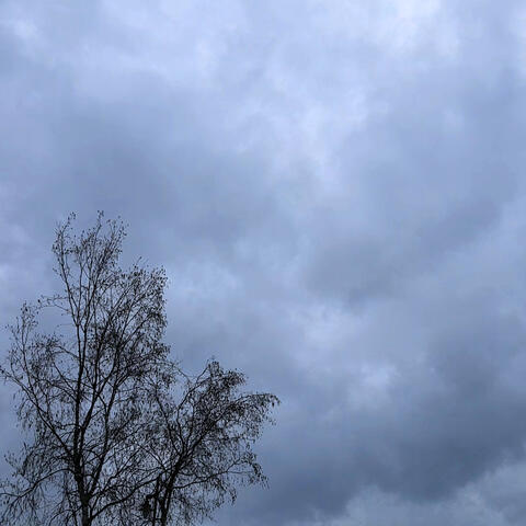 Raindrop