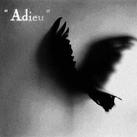 adieu