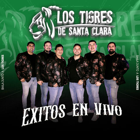 Éxitos en Vivo, Vol. 4