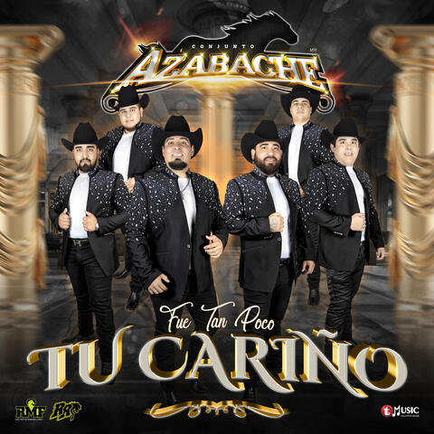 Fue Tan Poco Tu Cariño