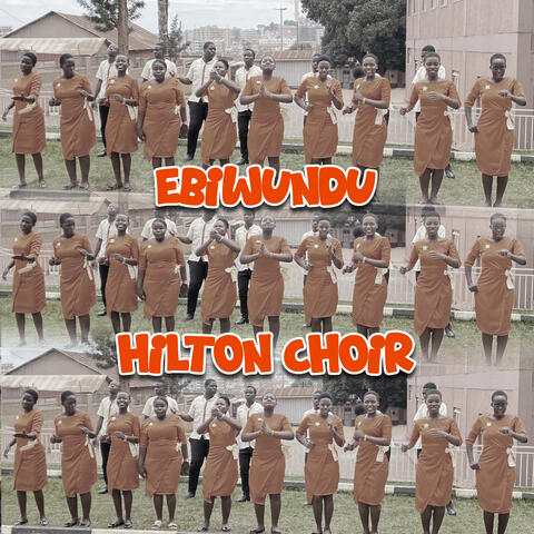 EBIWUNDU