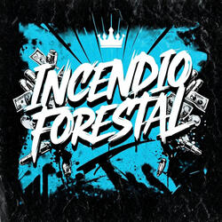 INCENDIO FORESTAL