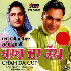 Bhabi Labh Gayi