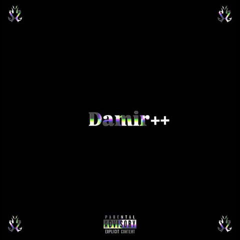 DAMIR++