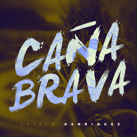 Caña Brava