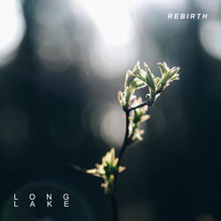 Rebirth