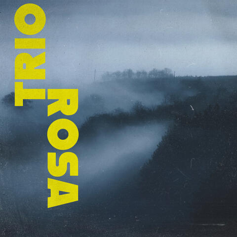 Midnight Fog