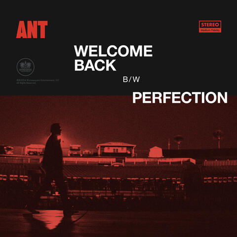 Welcome Back / Perfection