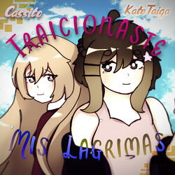 Traicionaste Mis Lágrimas