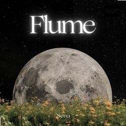 Flume