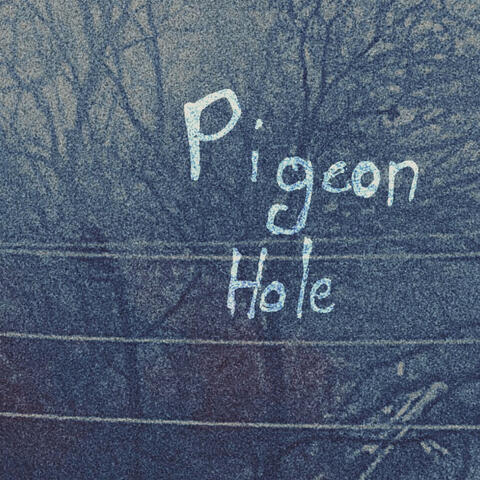 pigeon hole