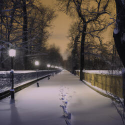 Snowheart