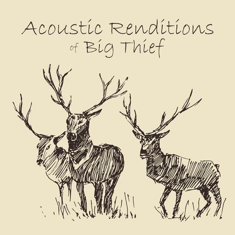 Acoustic Renditions of Big Thief