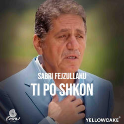 Ti po shkon