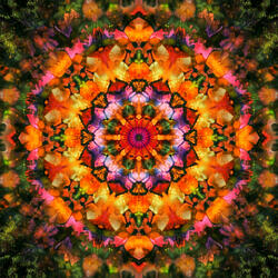 Universal Shift 417 Hz